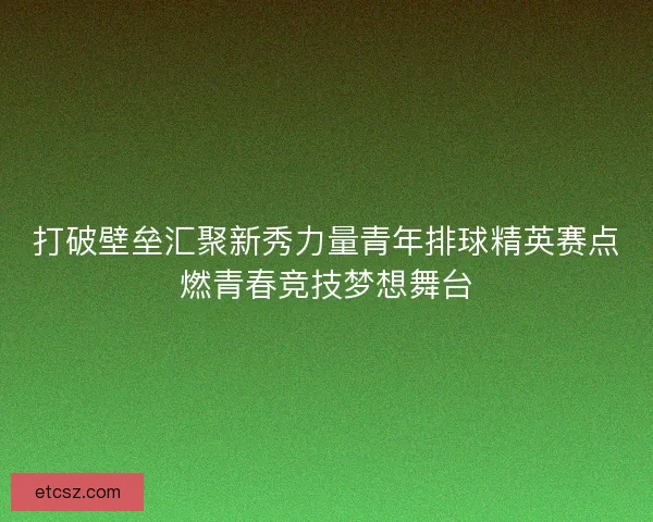 打破壁垒汇聚新秀力量青年排球精英赛点燃青春竞技梦想舞台